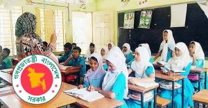 পদোন্নতি নিয়ে স্কুল শিক্ষকদের বিভেদ, শিক্ষা অধিদপ্তরে বিশৃঙ্খলা সৃষ্টির অভিযোগ