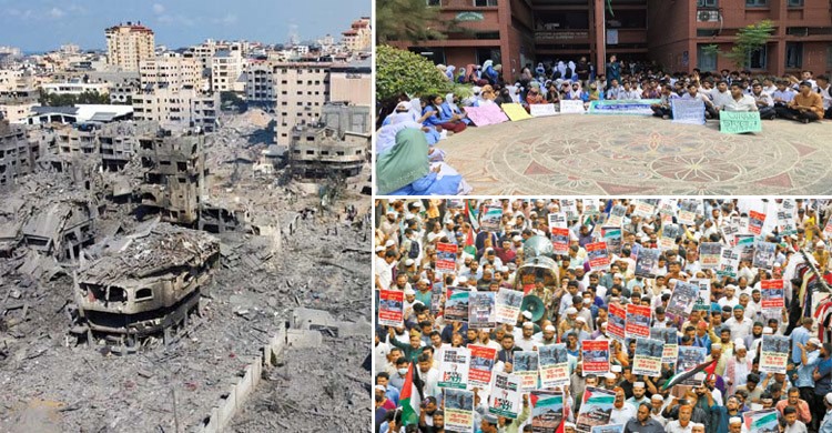 গাজায় গণহত্যা: বিভিন্ন শিক্ষাপ্রতিষ্ঠানে ক্লাস বর্জনের ঘোষণা