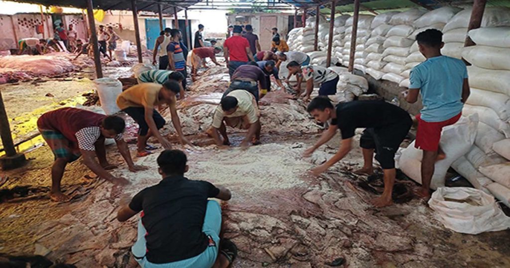 দাম নিয়ে হতাশ, মাদরাসাগুলো সংরক্ষণ করছে চামড়া