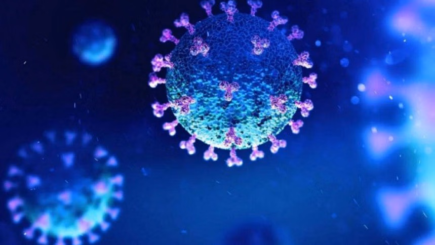 করোনায় ২৪ ঘণ্টায় ২ জনের মৃত্যু, শনাক্ত ১৫