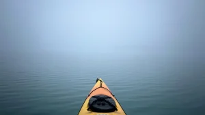 শিক্ষাপ্রতিষ্ঠানের ই-রেজিস্ট্রেশন নিয়ে এনটিআরসিএর জরুরি নির্দেশনা