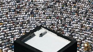 জাবিতে ফ্রি মেডিক্যাল ক্যাম্প কাল