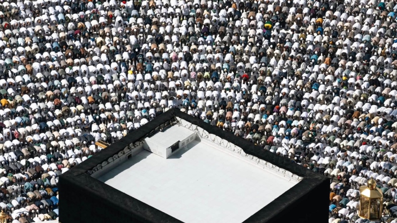 জাবিতে ফ্রি মেডিক্যাল ক্যাম্প কাল